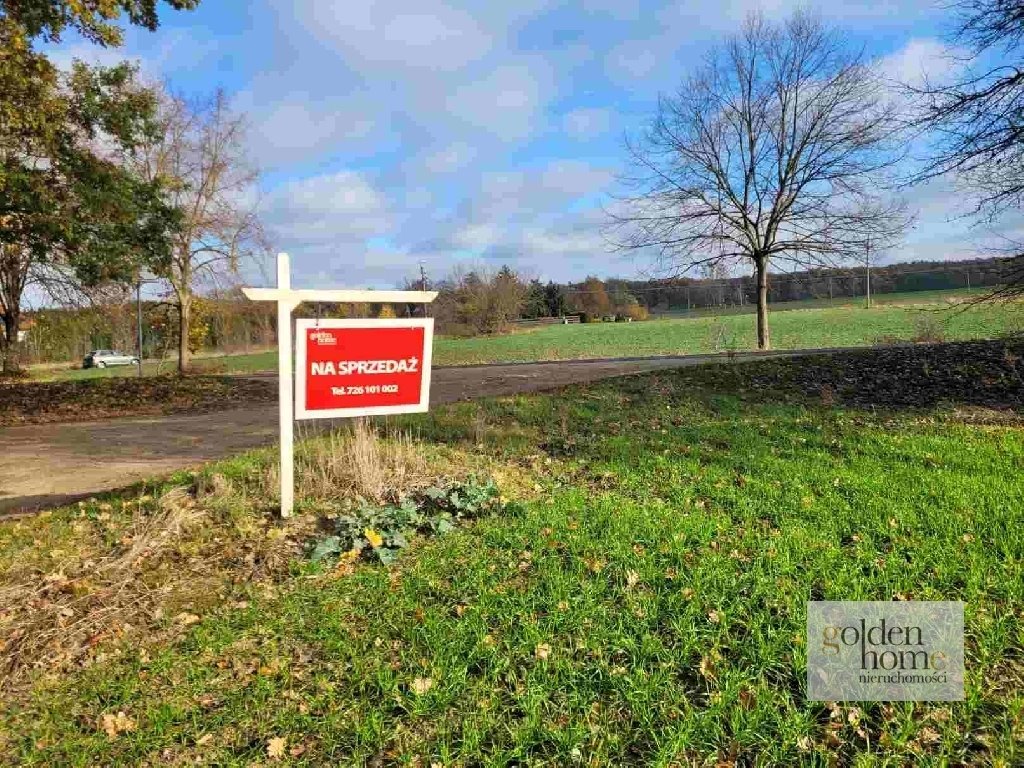 Działka budowlana na sprzedaż Grzebienisko, Świerkowa  2 555m2 Foto 3