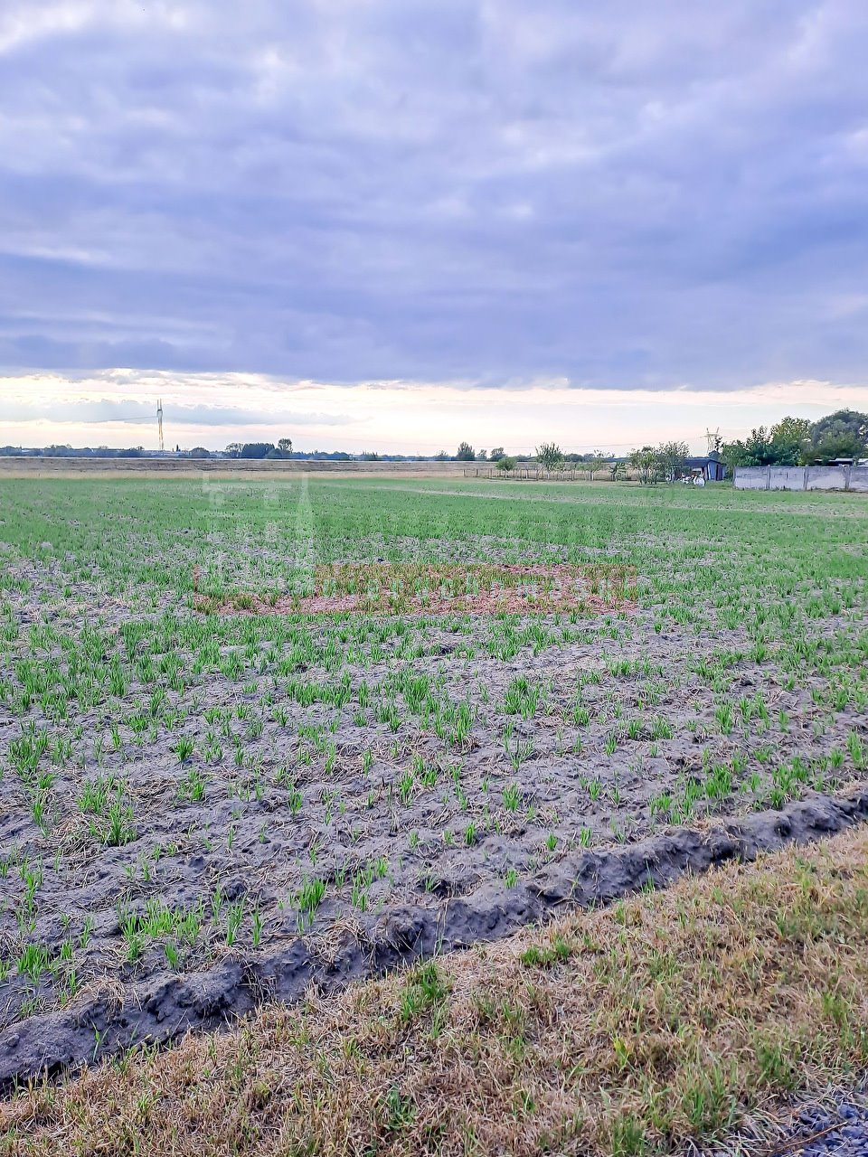 Działka inna na sprzedaż Opole, Grotowice  5 197m2 Foto 2