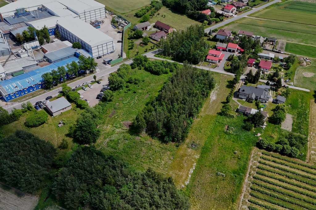 Działka komercyjna na sprzedaż Mizerka  6 200m2 Foto 4