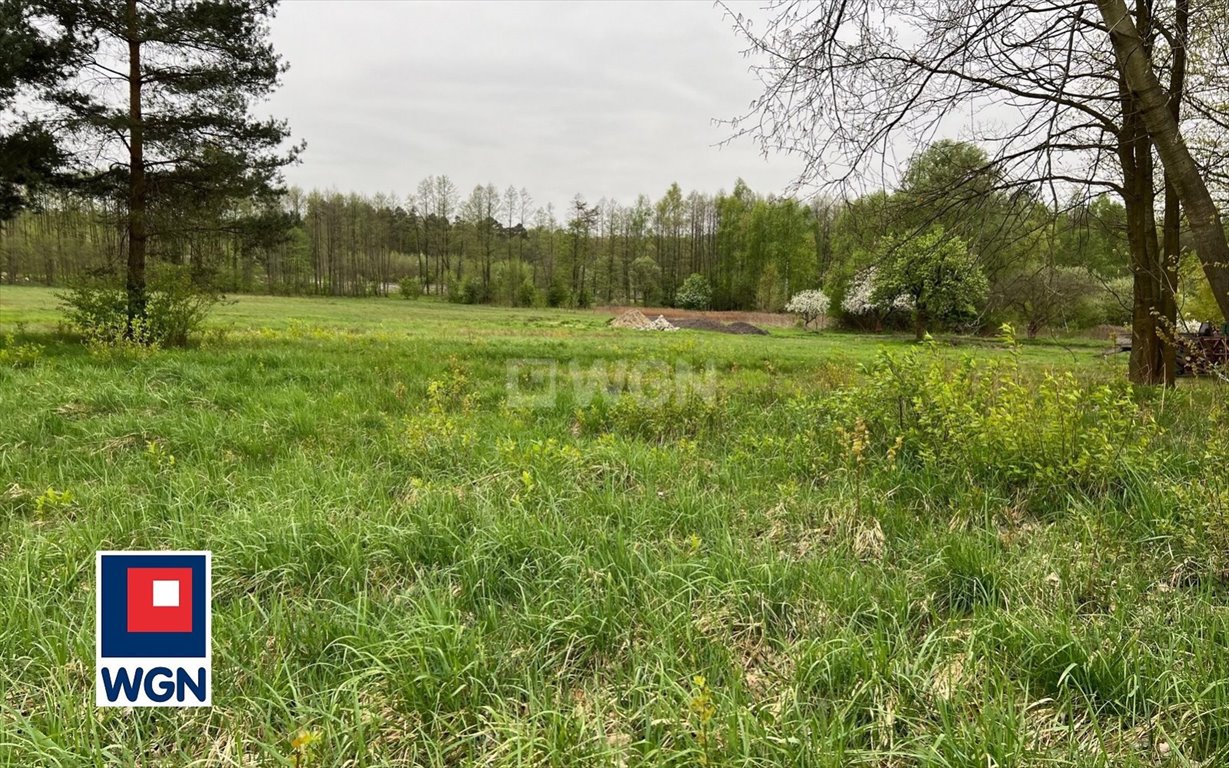 Działka budowlana na sprzedaż Libiąż, Kosówki, Wolności  3 003m2 Foto 4