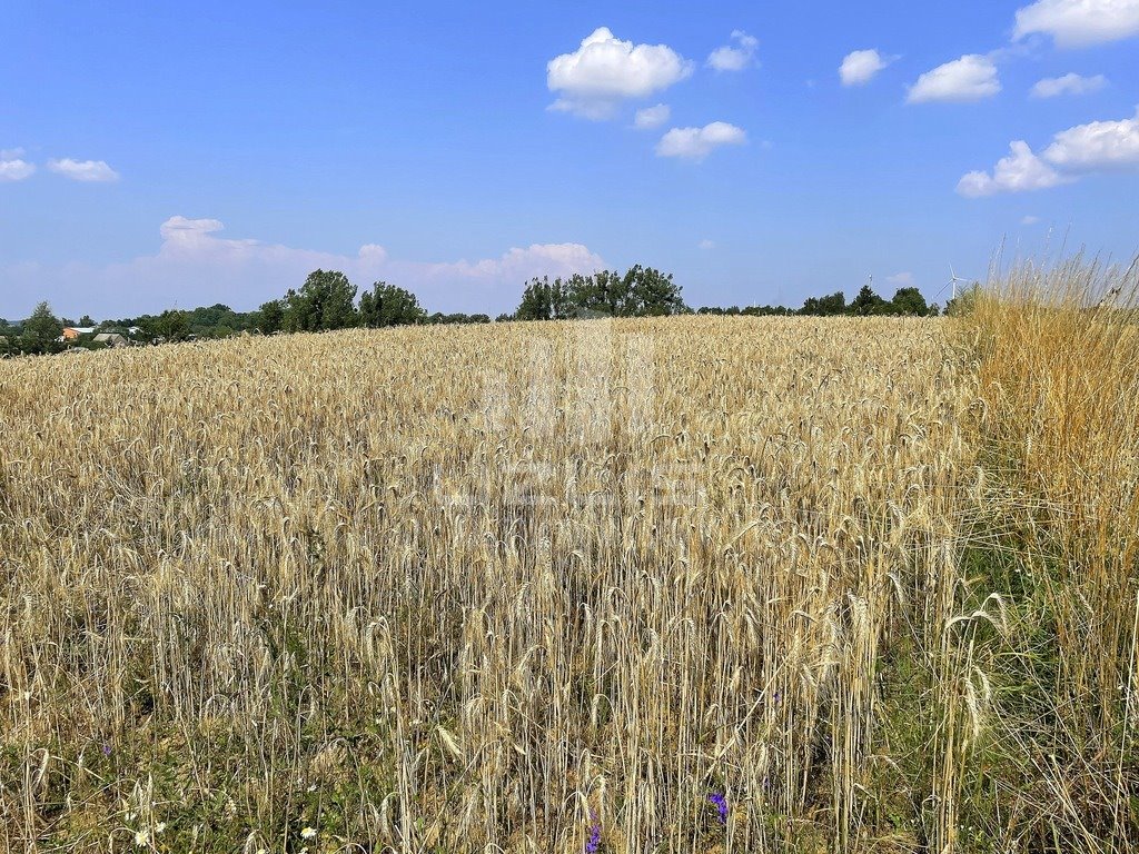 Działka inna na sprzedaż Rakowiec  895m2 Foto 19