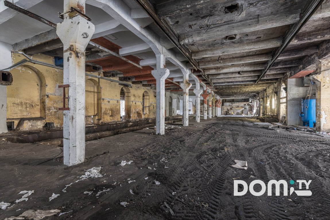 Lokal użytkowy na wynajem Dąbrowica  2 630m2 Foto 14