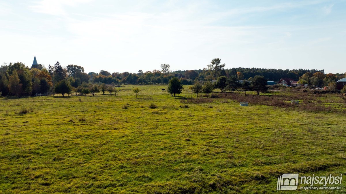 Działka rolna na sprzedaż Sarbia  6 500m2 Foto 6