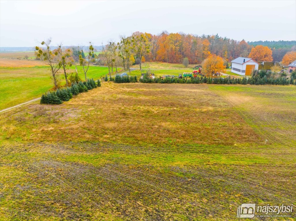 Działka budowlana na sprzedaż Węgorza, Wieś  1 557m2 Foto 11