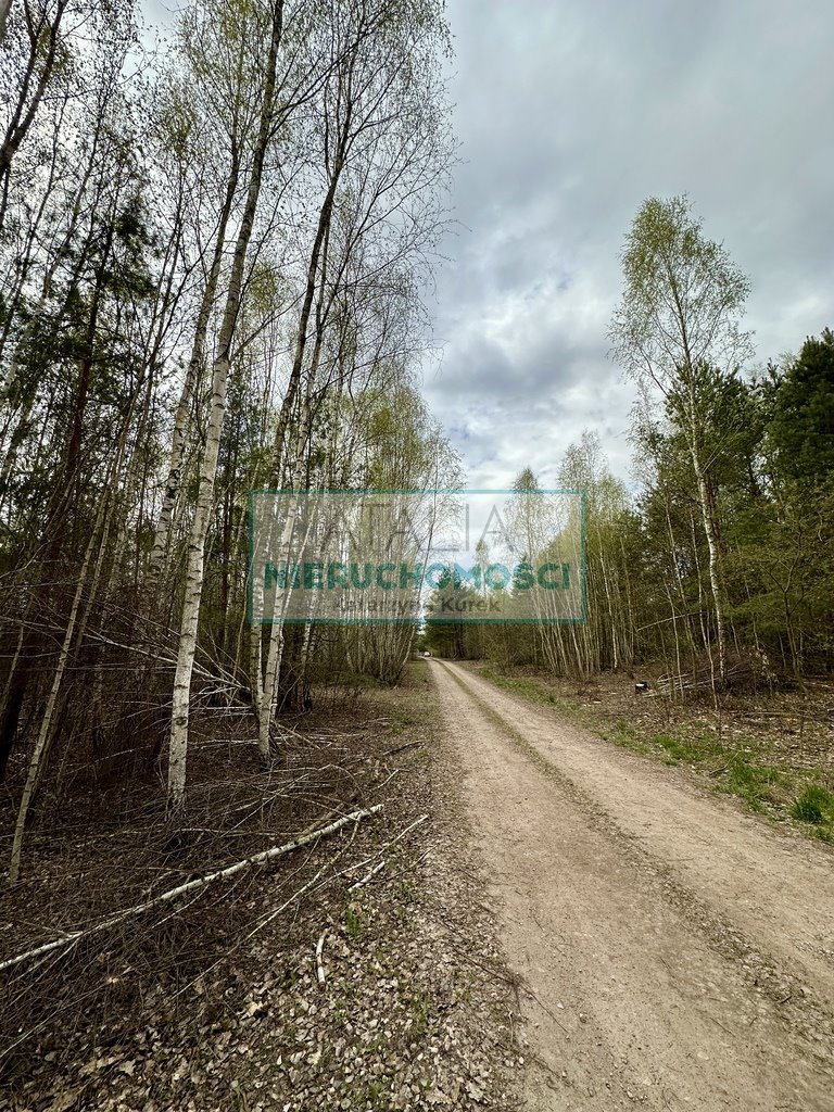 Działka 2799 m² z lasem w Nadarzynie - zapraszam Strzeniówka  2 799m2 Foto 1