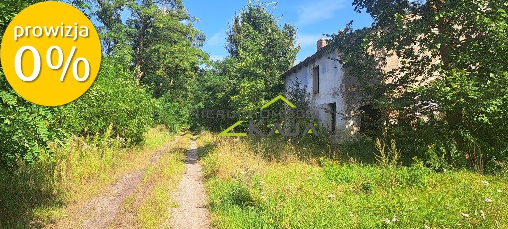 Działka siedliskowa na sprzedaż Nowe Biskupice  27 700m2 Foto 20