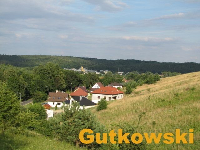 Działka rolna na sprzedaż Łąki Bratiańskie, Gmina Nowe Miasto Lubawskie  3 019m2 Foto 3