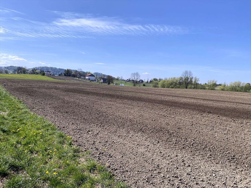 Działka rolna 3,87 ha z planem zagospodarowania, możliwość podziału Kisielów, Kisielów, Prosta  10 000m2 Foto 1