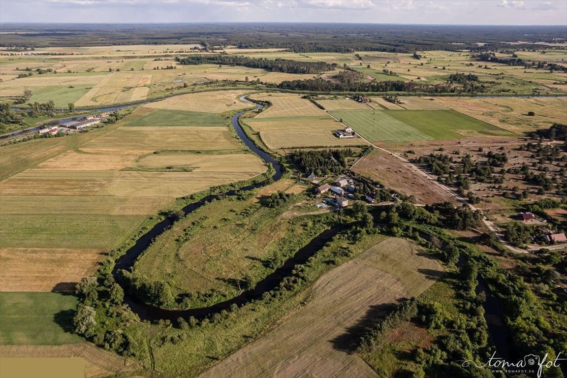 Działka rekreacyjna na sprzedaż Bielice Nowe  1 500m2 Foto 5