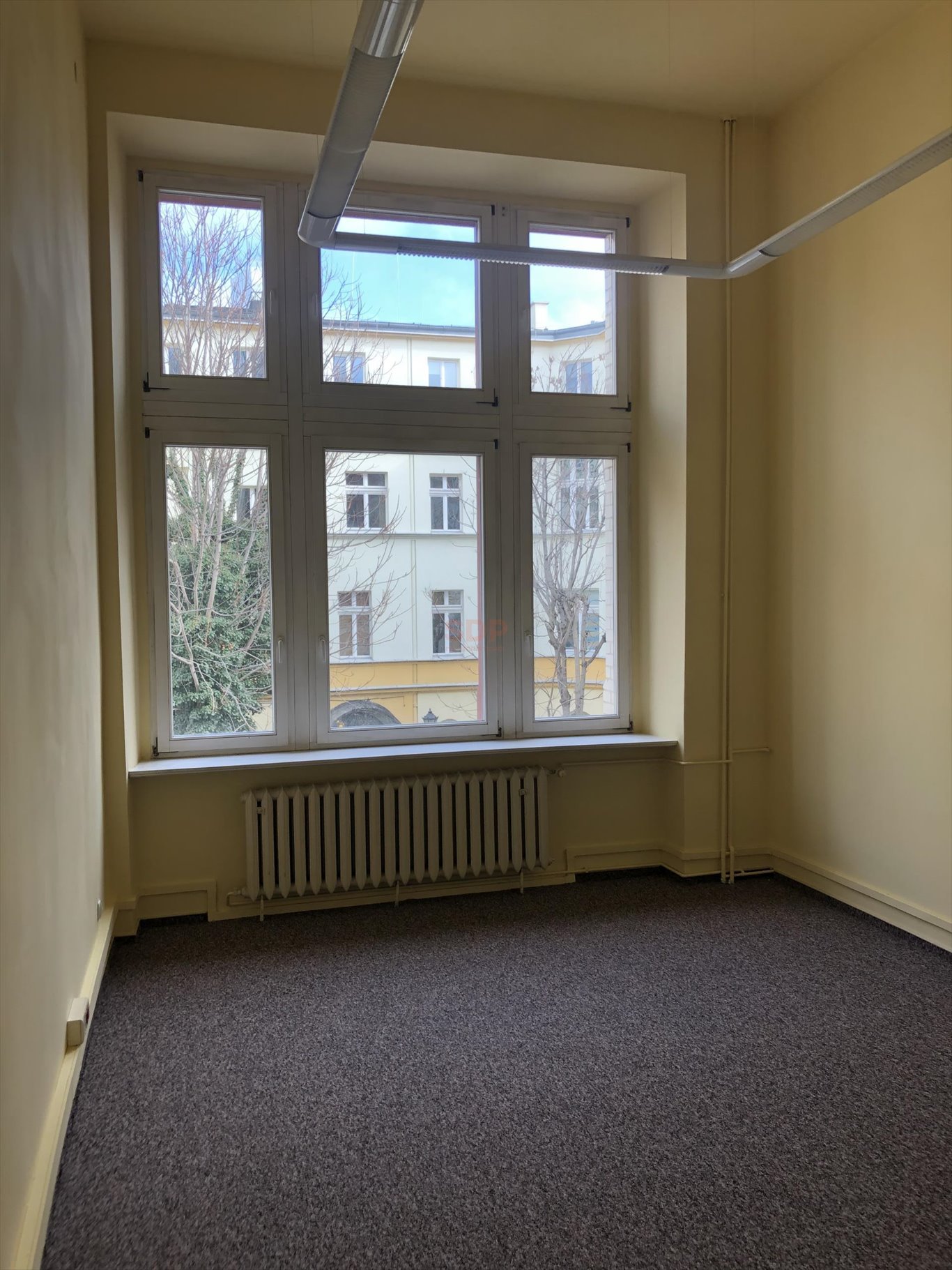 Lokal użytkowy na wynajem Wrocław, Stare Miasto, Stare Miasto, Podwale  110m2 Foto 1