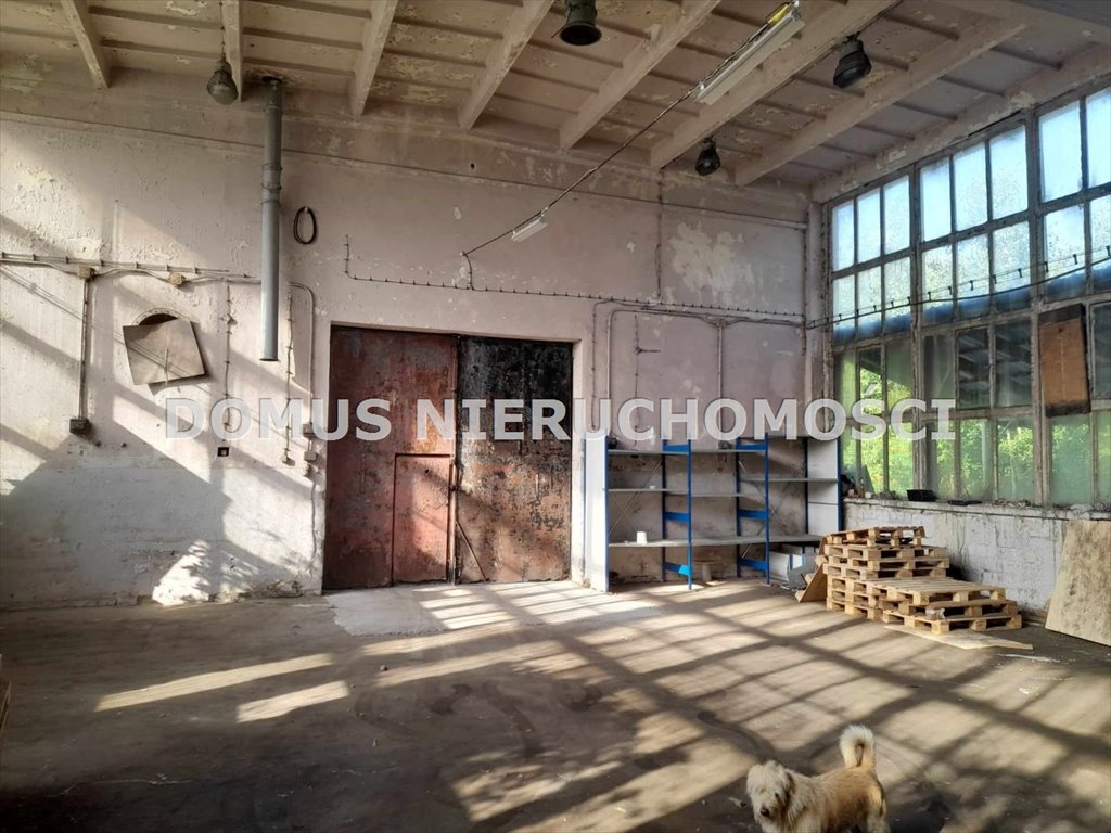 Lokal użytkowy na wynajem Jeżów  500m2 Foto 2