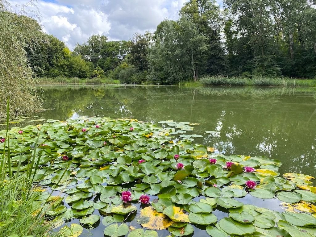 Działka budowlana na sprzedaż Leszno, Leszno, Fabryczna  1 053m2 Foto 7