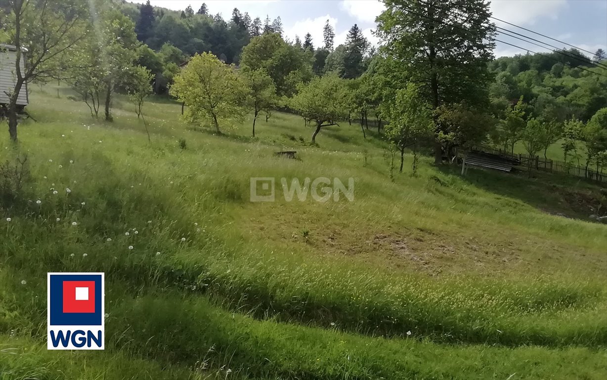 Działka budowlana na sprzedaż Wisła, Tokarnia  1 230m2 Foto 3