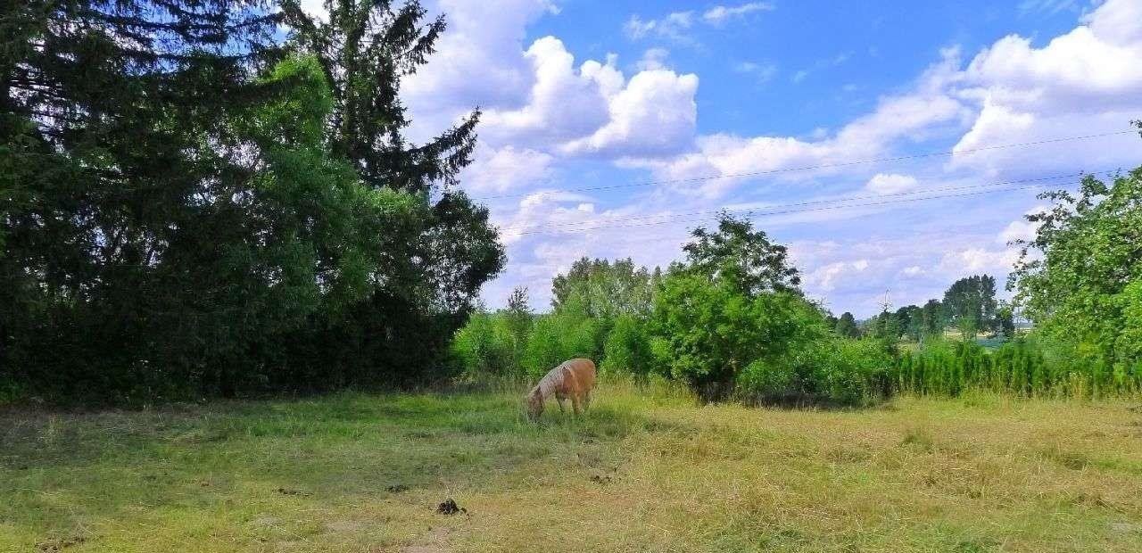 Działka budowlana na sprzedaż Suwałki  1 893m2 Foto 4