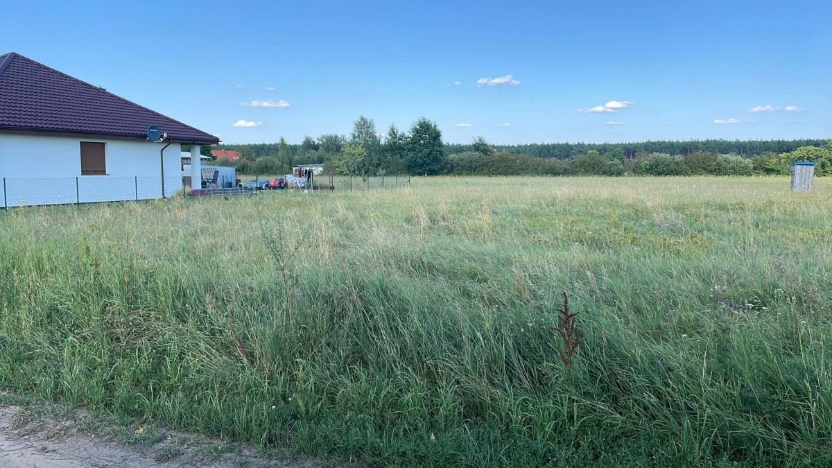 Działka budowlana na sprzedaż Studzieniec, Międzylesie  1 000m2 Foto 3