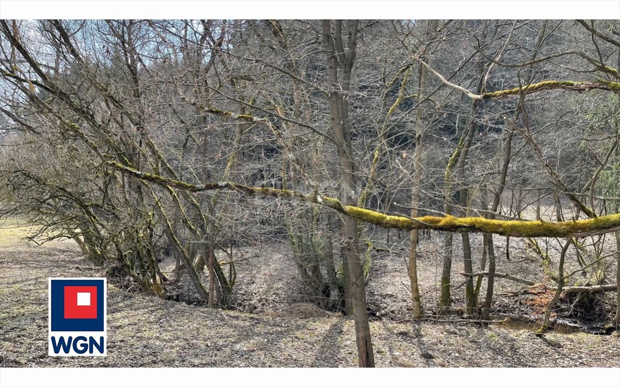 Działka 3936 m2 z warunkami zabudowy, las i strumień Ludwikowice Kłodzkie, Ludwikowice Kłodzkie, Kopalniana  3 936m2 Foto 1