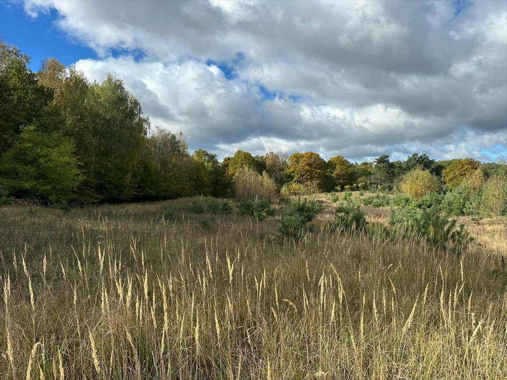 Działka budowlana na sprzedaż Kapalica  6 301m2 Foto 1