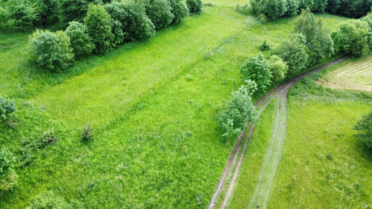 Działka rolna na sprzedaż Rychwałd  1 100m2 Foto 4