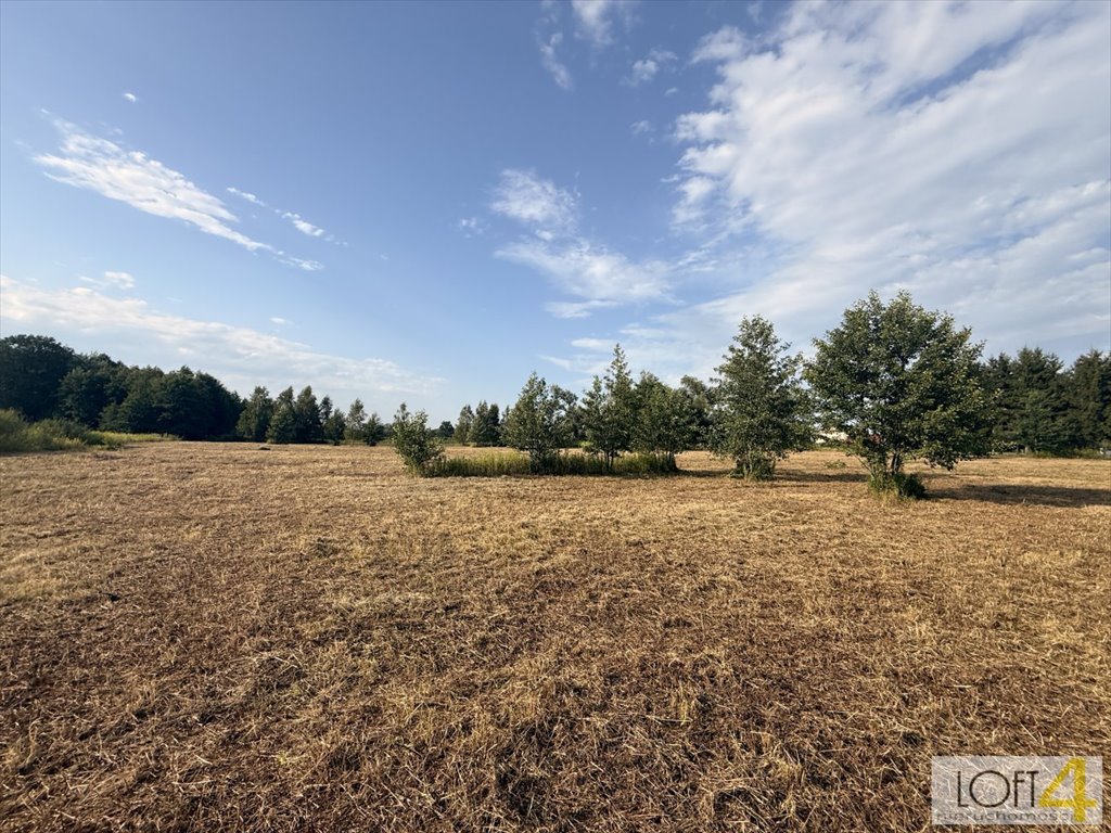 Do sprzedania działki z warunkami zabudowy i dostępem do mediów Olesno  2 000m2 Foto 1