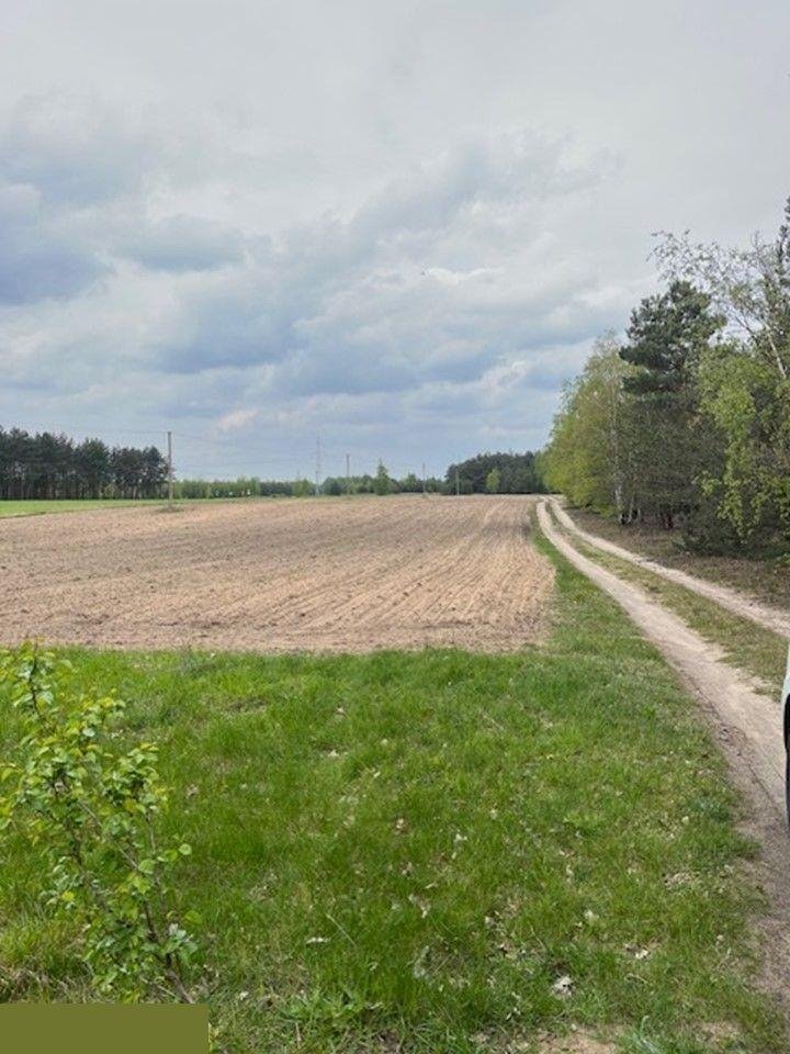 Działka rolna na sprzedaż Wierzbinek  103 000m2 Foto 5