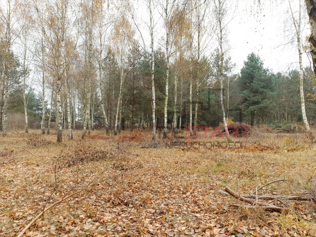 Działka budowlana na sprzedaż Osowiec  1 230m2 Foto 3