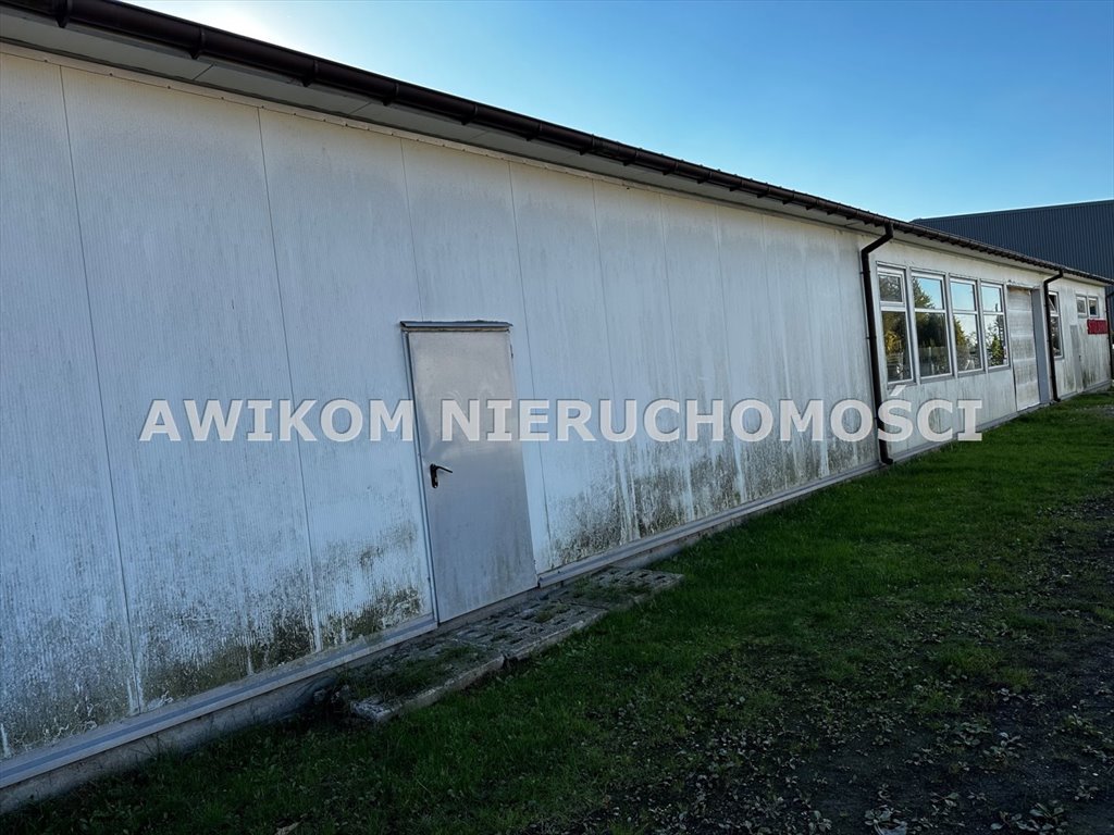 Magazyn na sprzedaż Brwinów  1 126m2 Foto 3