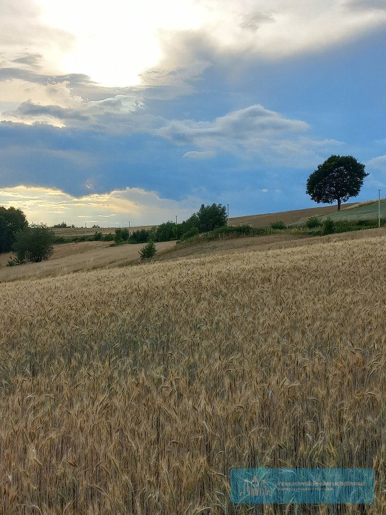 Działka budowlana na sprzedaż Brzeziny  1 250m2 Foto 6