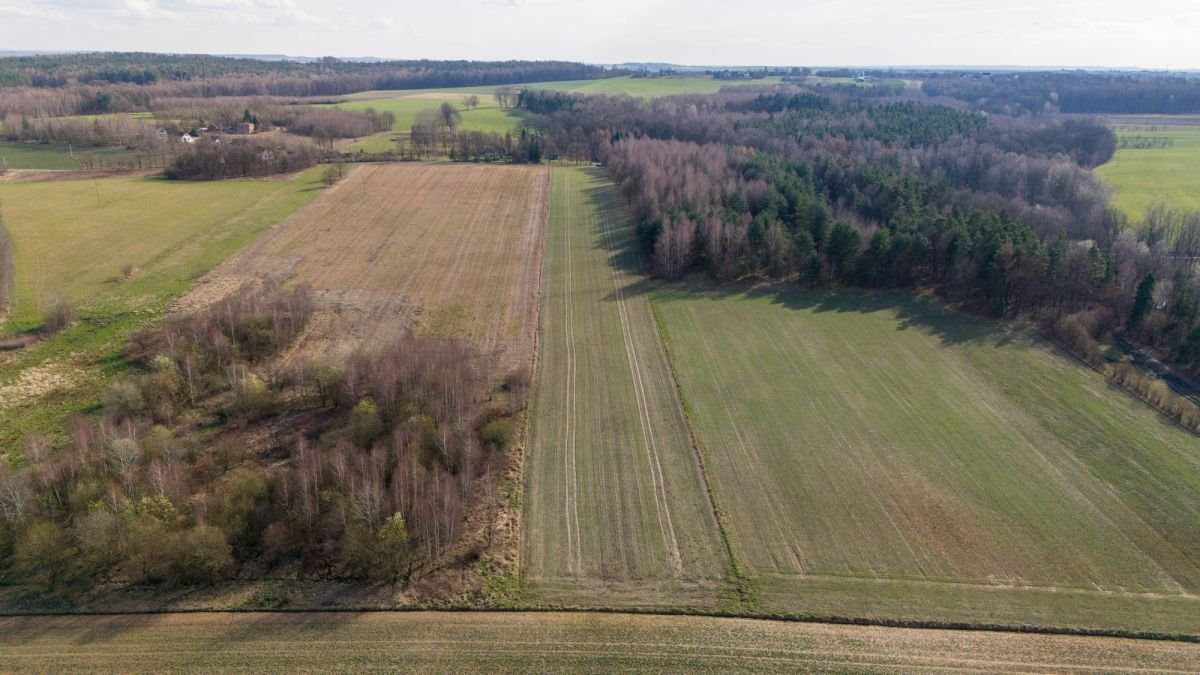 Działka rekreacyjna na sprzedaż Woźniki, Czarny Las, Czarny Las  14 911m2 Foto 7