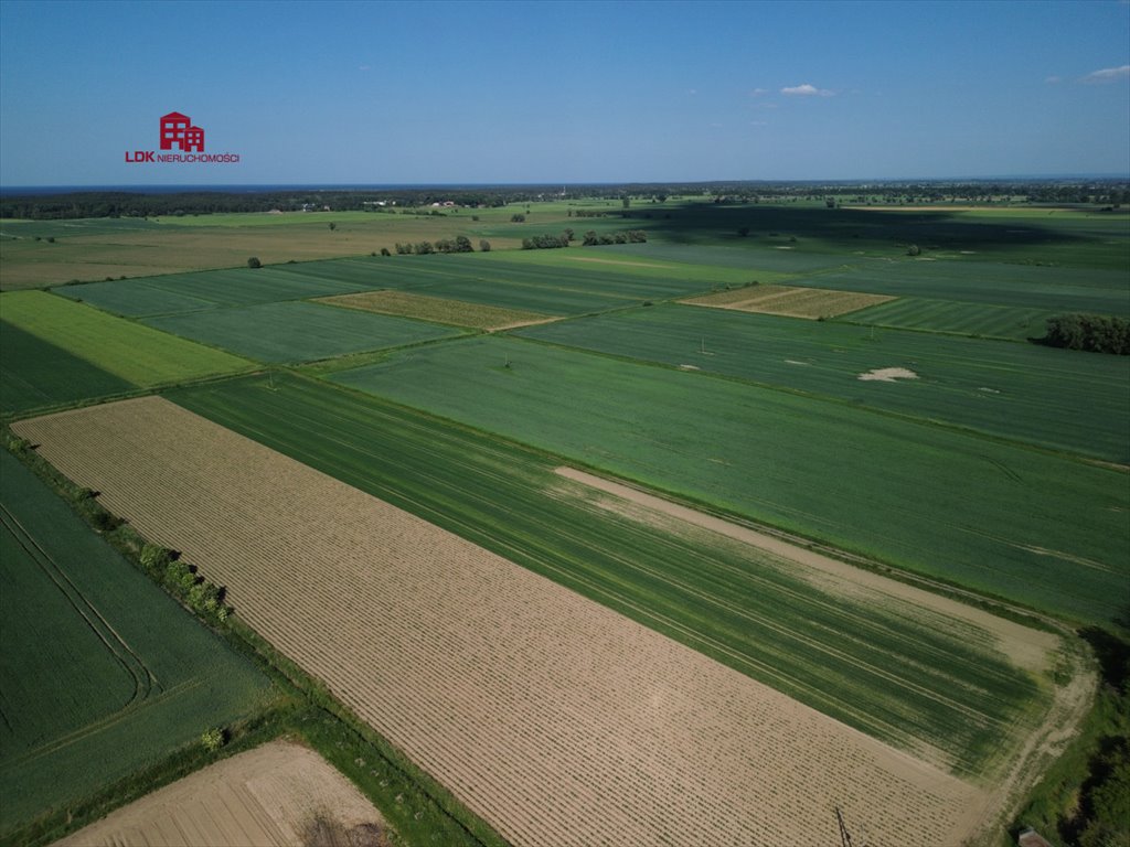 Działka siedliskowa na sprzedaż Gdańsk, Sobieszewo, Przegalińska  30 600m2 Foto 4