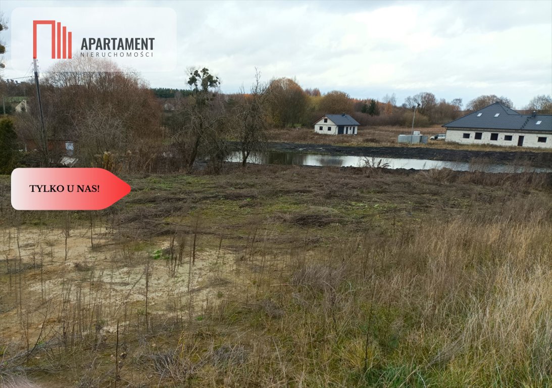 Działka gospodarstwo rolne na sprzedaż Sulnowo  3 000m2 Foto 5