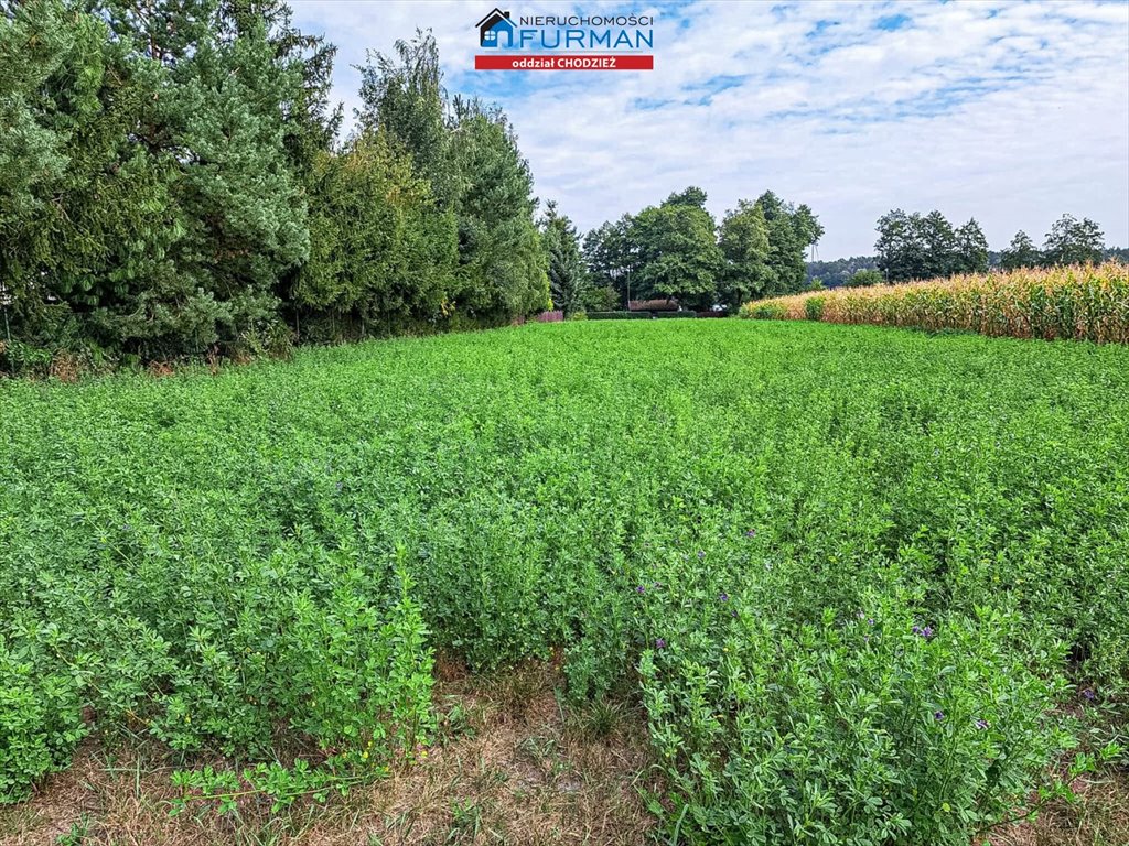 Działka budowlana na sprzedaż Sypniewo, Sypniewo  1 081m2 Foto 2