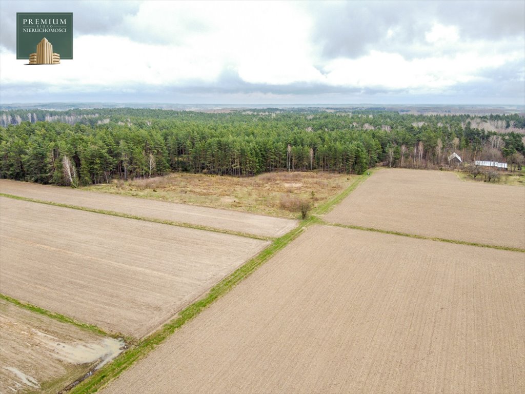 Działka siedliskowa na sprzedaż Koźliki  3 000m2 Foto 6