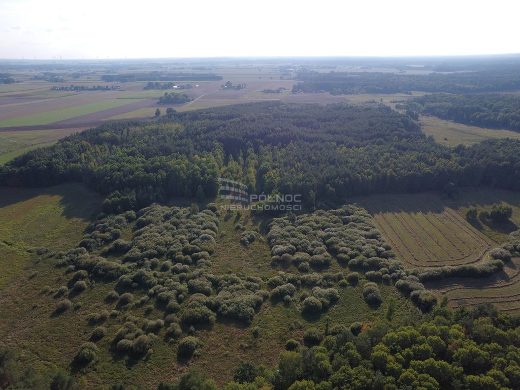 Działka rolna na sprzedaż Zacisze  14 200m2 Foto 4