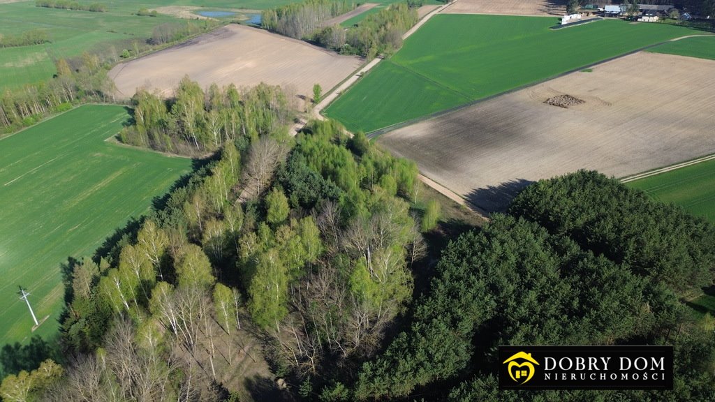 Działka rolna na sprzedaż Tykocin  3 000m2 Foto 7