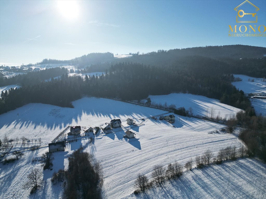 Działka budowlana na sprzedaż Krasne Potockie  4 200m2 Foto 2