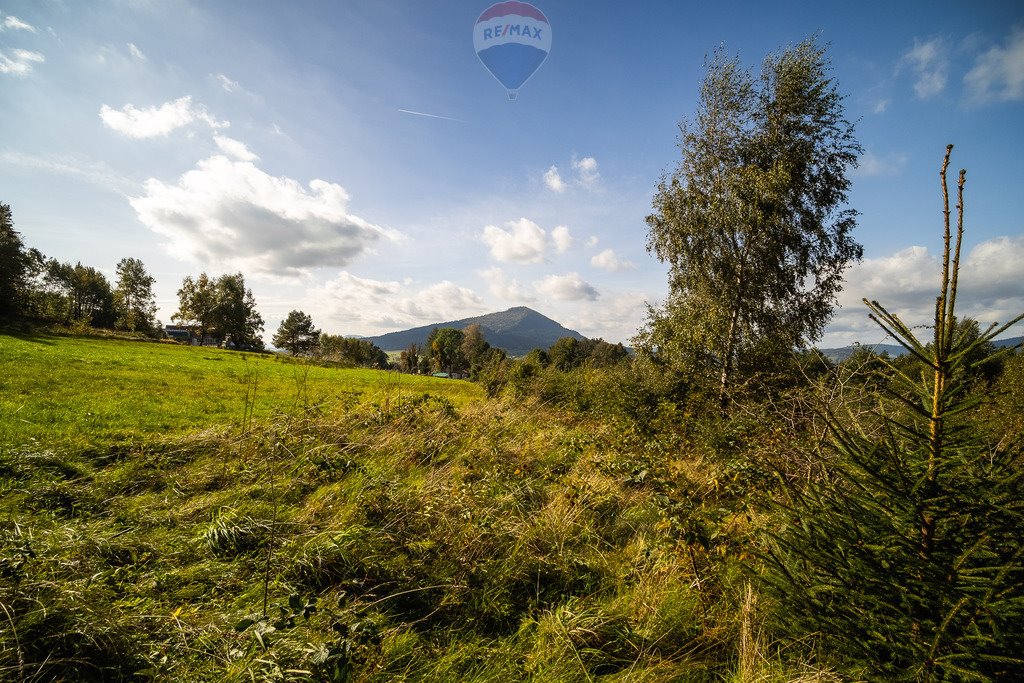 Działka budowlana na sprzedaż Kasina Wielka  5 398m2 Foto 15