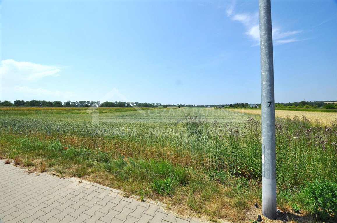 Zdjęcie 8