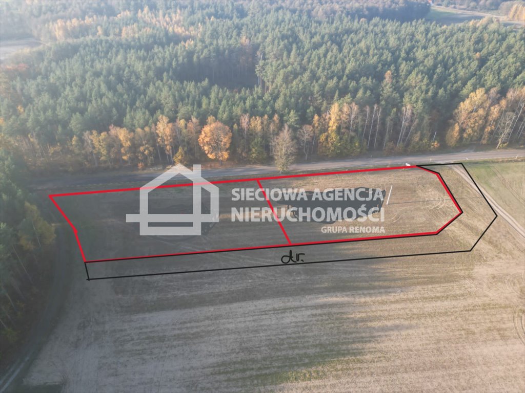 Działka siedliskowa na sprzedaż Grabowo  3 271m2 Foto 11