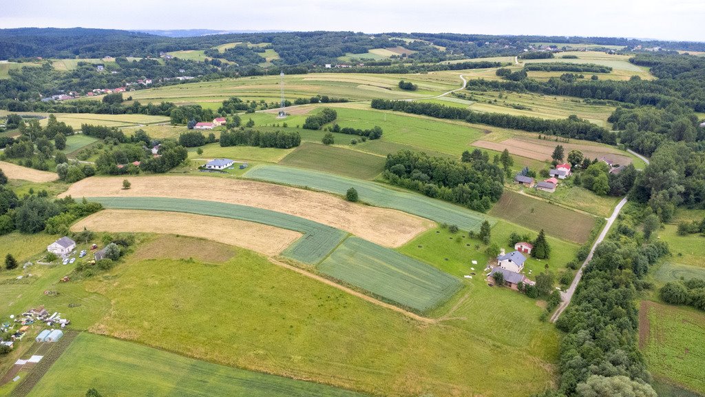 Działka budowlana na sprzedaż Niechobrz  18 300m2 Foto 15