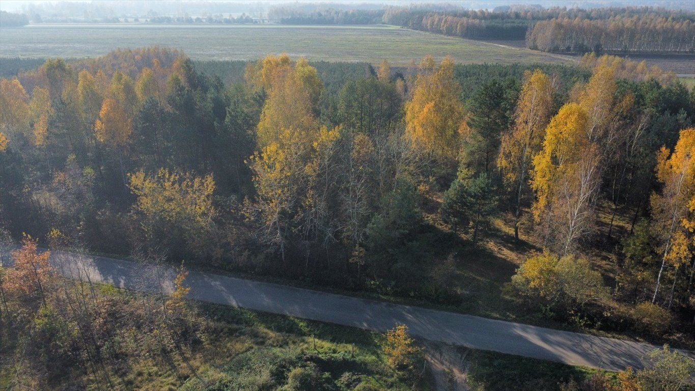 Działka inna na sprzedaż Włoszczowa, Dąbie  1 500m2 Foto 7