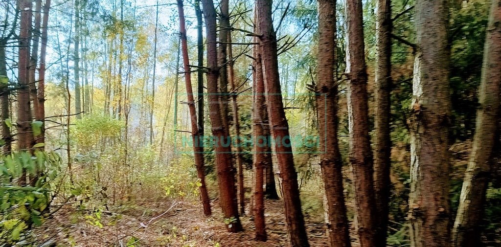 Działka budowlana na sprzedaż Radonie  1 500m2 Foto 2