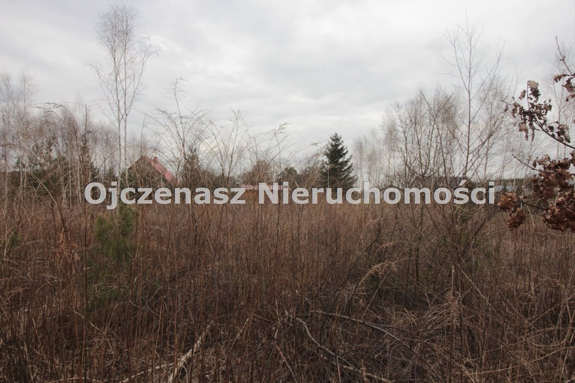 Działka 3000 m² z warunkami zabudowy i pełnym uzbrojeniem Żołędowo  3 000m2 Foto 1