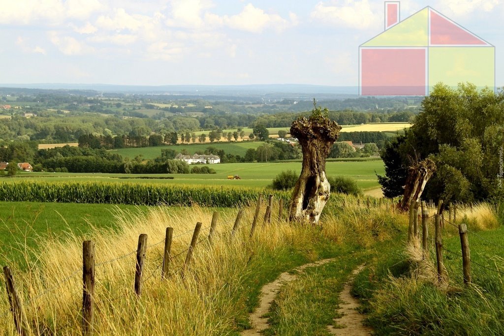 Działka siedliskowa na sprzedaż Lubomyśl  6 390m2 Foto 1