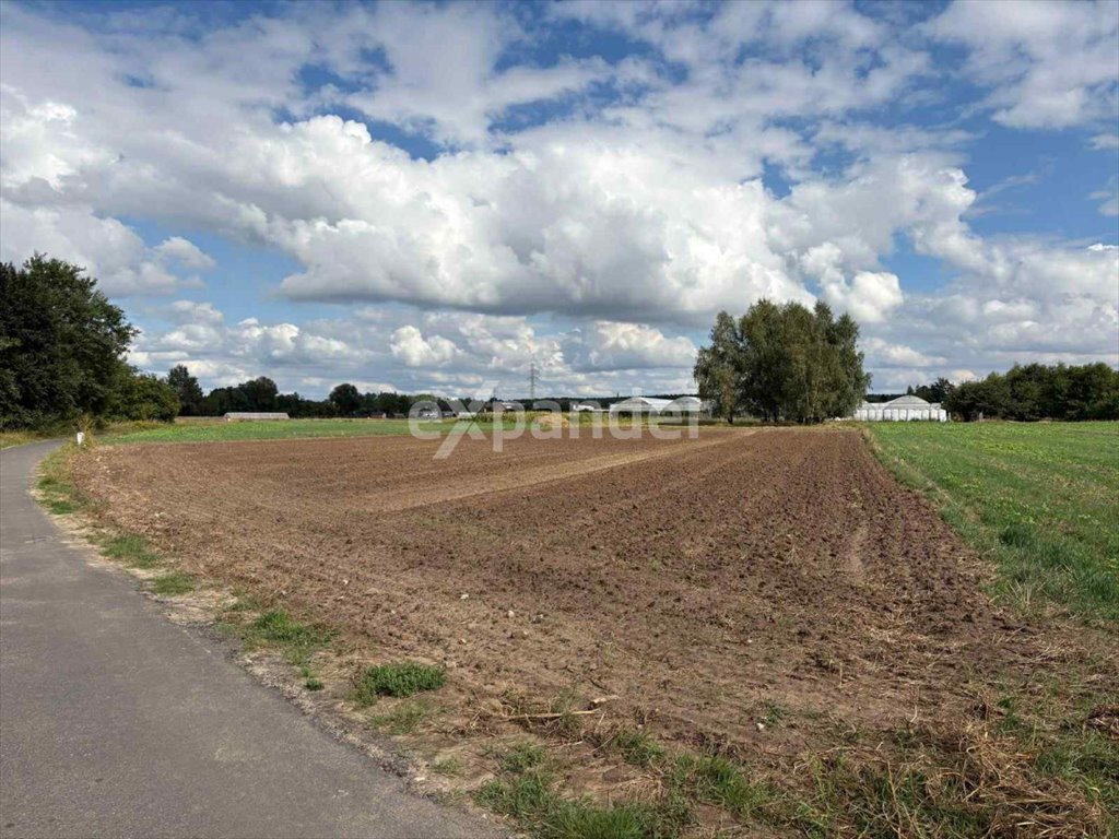 Działka gospodarstwo rolne na sprzedaż Kalisz, Rajsków  4 180m2 Foto 1