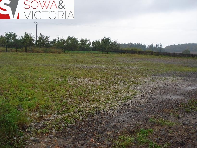 Działka inna pod dzierżawę Wałbrzych, Lubiechów  3 500m2 Foto 1