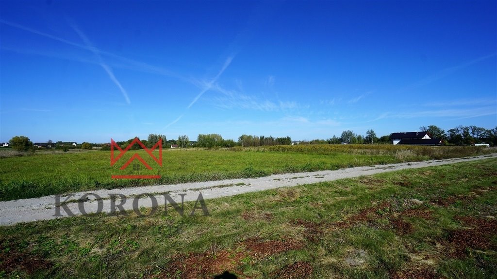 Działka budowlana na sprzedaż Halickie  6 000m2 Foto 1