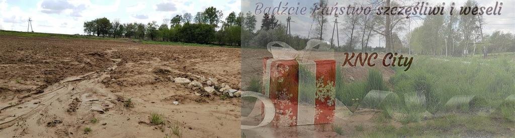 Działka budowlana na sprzedaż Tomaszowice  6 400m2 Foto 1