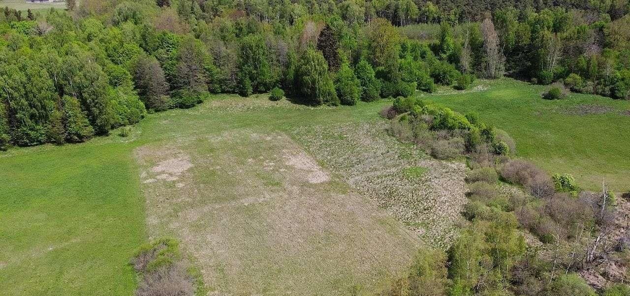 Działka budowlana na sprzedaż Dźwierzuty  5 600m2 Foto 9