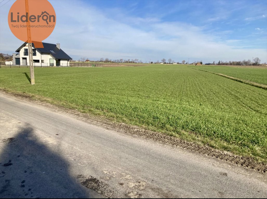 Działka budowlana na sprzedaż Dobruchów  9 674m2 Foto 1