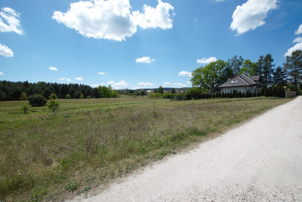 Działka inna na sprzedaż Kielce, Białogon, Aleksandrówka  2 590m2 Foto 6